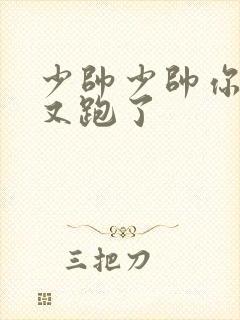 少帅少帅你老婆又跑了