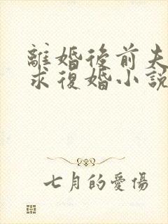 离婚后前夫哭着求复婚小说全文免费阅读