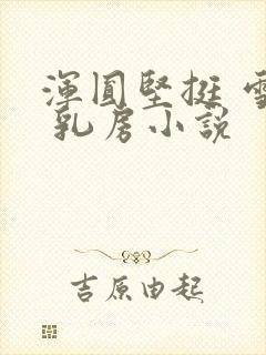 浑圆坚挺 雪白 乳房小说