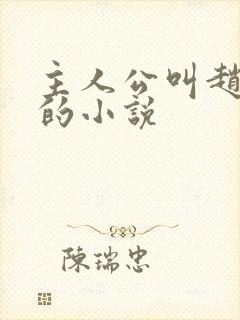 主人公叫赵凤声的小说封面