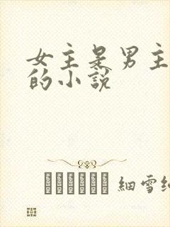 女主是男主后妈的小说