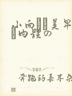 小向まな美卑猥な肉体の