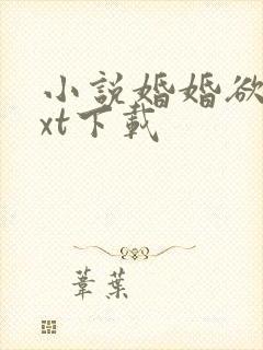 小说婚婚欲宠txt下载