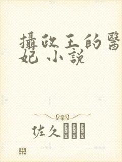 摄政王的医品皇妃 小说