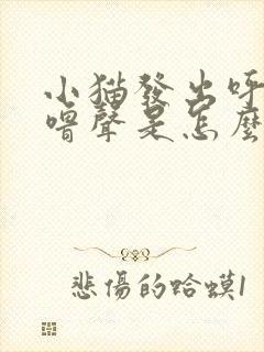 小猫发出呼噜呼噜声是怎么回事?