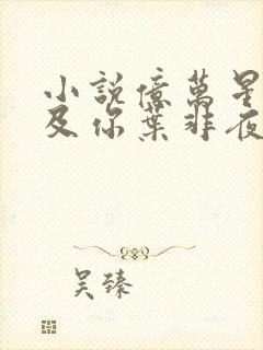 小说亿万星辰不及你叶非夜