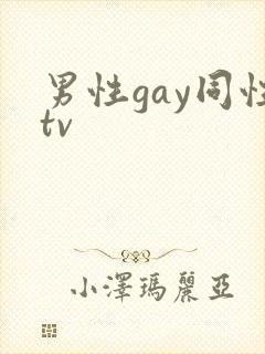 男性gay同性tv封面