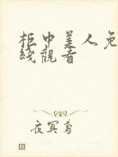 柜中美人免费在线观看封面