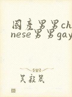 国产男男chinese男男gaygay网站