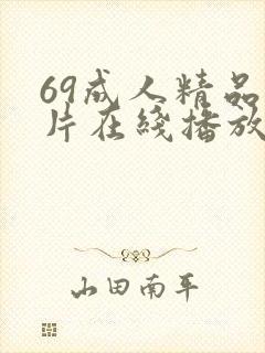 69成人精品毛片在线播放