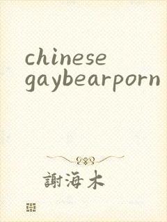 chinesegaybearporn
