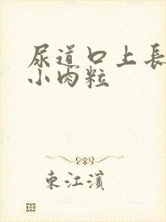 尿道口上长一圈小肉粒封面