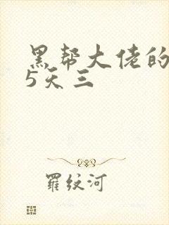 黑帮大佬的365天三封面