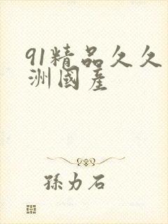 91精品久久亚洲国产封面