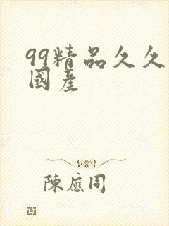 99精品久久久国产封面