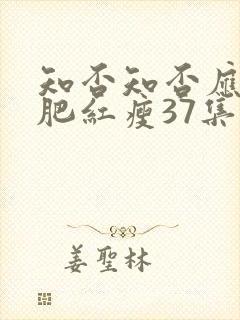 知否知否应是绿肥红瘦37集