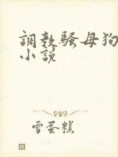 调教骚母狗高h小说