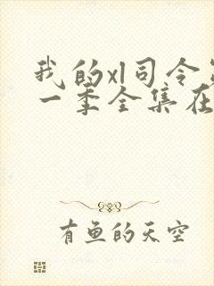 我的xl司令第一季全集在线观看封面