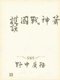 护国战神萧战小说