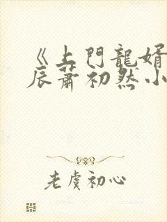 《上门龙婿》叶辰萧初然小说