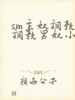 sm主奴调教:调教男奴小说