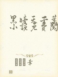 黑暗天子叶凌天小说免费阅读