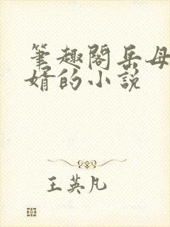 笔趣阁岳母和女婿的小说