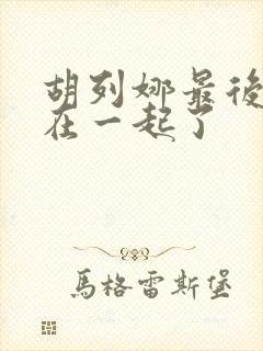 胡列娜最后和谁在一起了封面