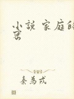 小说 家庭的秘密