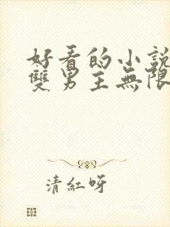 好看的小说推荐双男主无限流封面