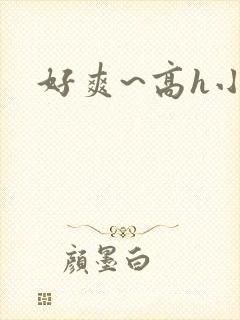 好爽~高h小说封面