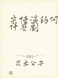 宋佳演的何爽是什么剧