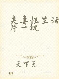 夫妻性生活黄色片一级封面