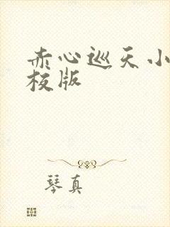 赤心巡天小说精校版