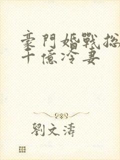 豪门婚战总裁的千亿冷妻