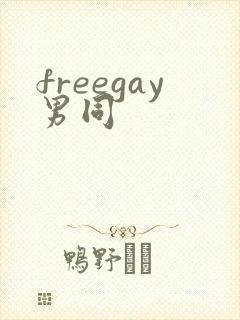freegay男同