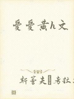 爱爱黄h文