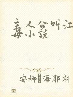 主人公叫江明岳母小说封面