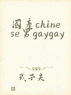 国产chinese男gaygay封面
