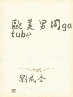 欧美男同gaytube