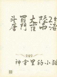 斗罗大陆2绝世唐门霍雨浩的魂技