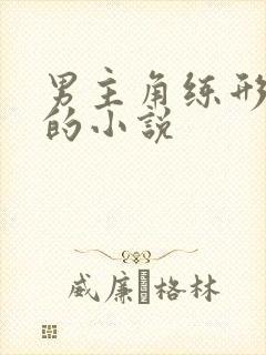 男主角练形意拳的小说封面