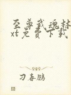 至尊武魂林凡txt免费下载