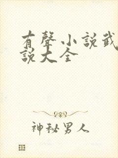 有声小说武侠小说大全封面