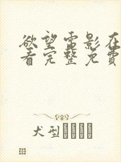 欲望电影在线观看完整免费高清国语