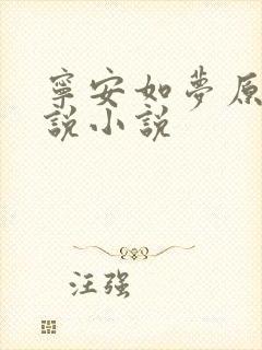 宁安如梦原著小说小说