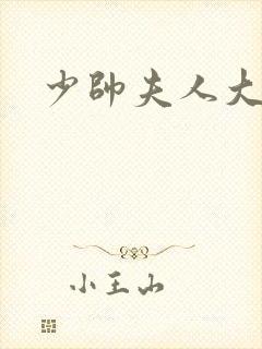 少帅夫人大结局封面