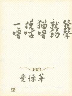 一摸猫就发出咕噜咕噜的声音封面