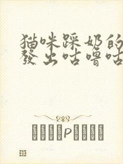 猫咪踩奶的时候发出咕噜咕噜的声音