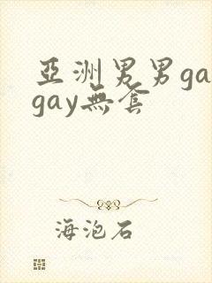 亚洲男男gaygay无套